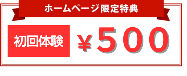 ホームページ限定特典。通常初回価格8800円→3980円